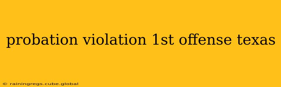 probation violation 1st offense texas