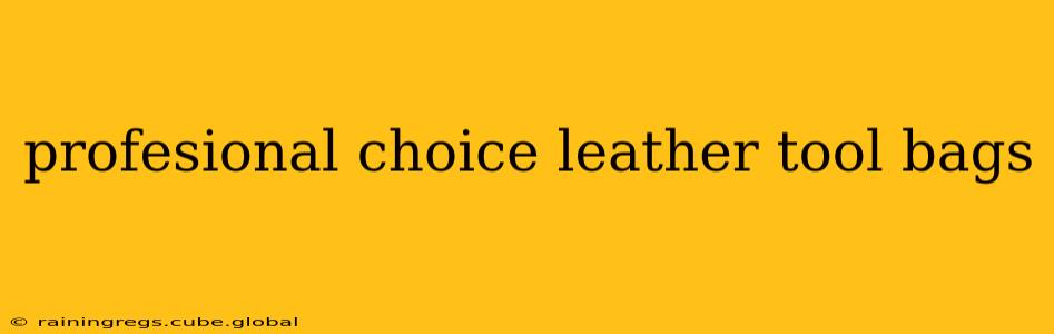 profesional choice leather tool bags
