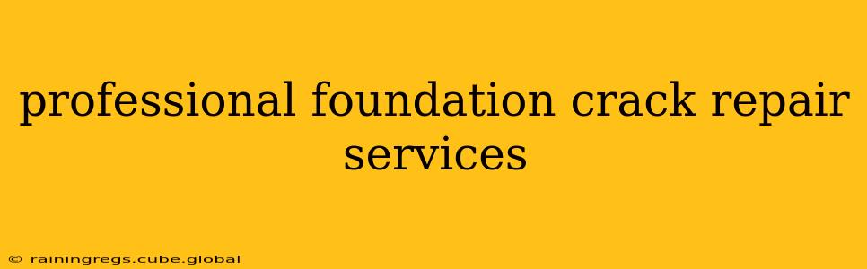 professional foundation crack repair services