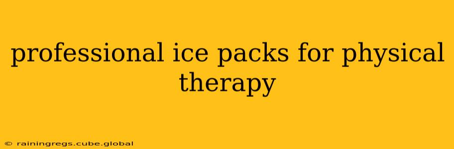 professional ice packs for physical therapy