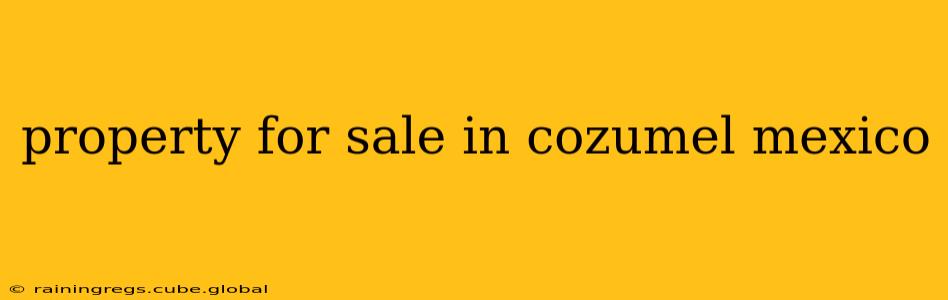 property for sale in cozumel mexico