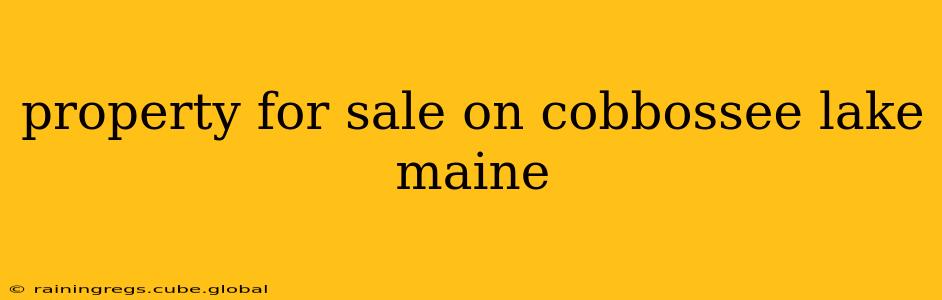 property for sale on cobbossee lake maine