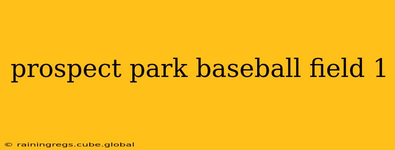 prospect park baseball field 1