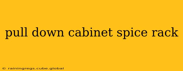 pull down cabinet spice rack