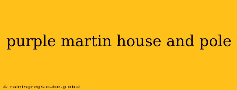 purple martin house and pole