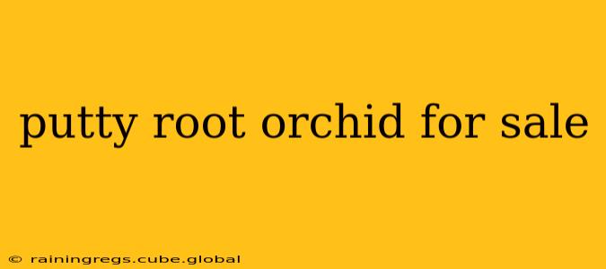 putty root orchid for sale