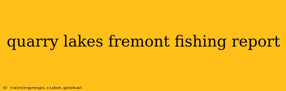 quarry lakes fremont fishing report
