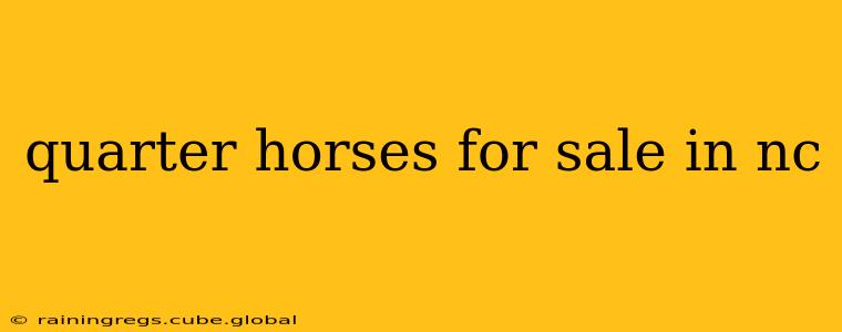 quarter horses for sale in nc