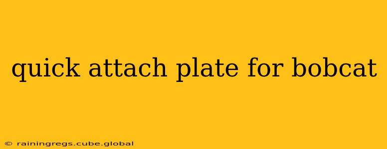 quick attach plate for bobcat