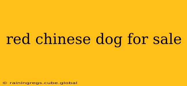 red chinese dog for sale