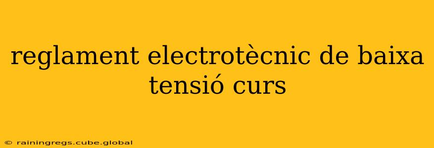 reglament electrotècnic de baixa tensió curs