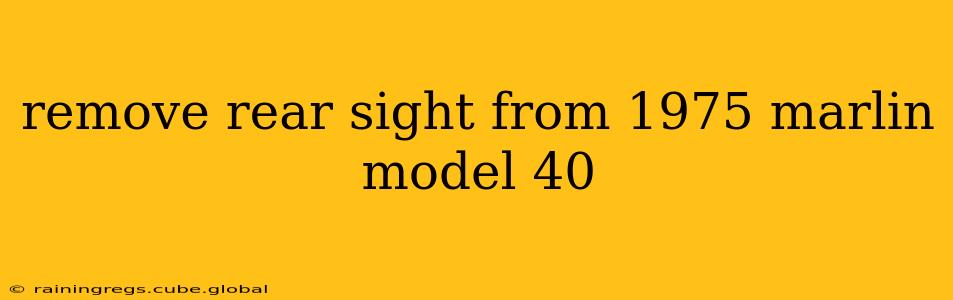 remove rear sight from 1975 marlin model 40