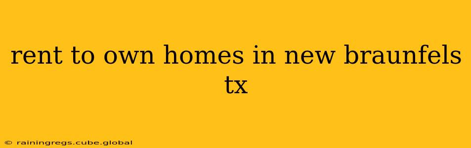 rent to own homes in new braunfels tx