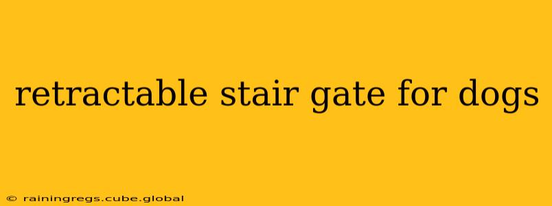 retractable stair gate for dogs