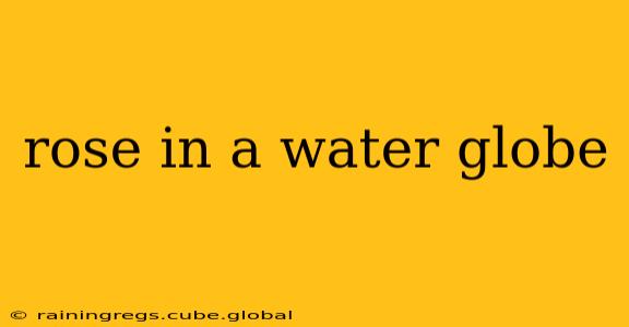 rose in a water globe