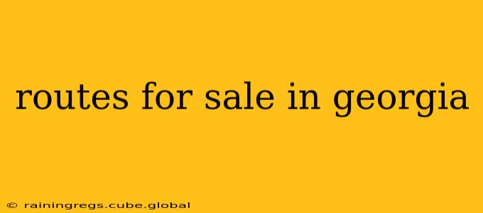 routes for sale in georgia