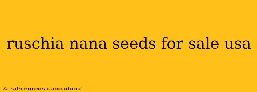 ruschia nana seeds for sale usa