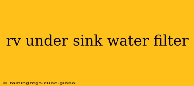 rv under sink water filter