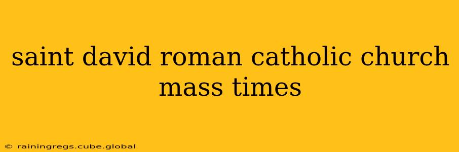 saint david roman catholic church mass times