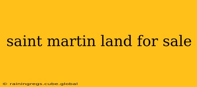 saint martin land for sale
