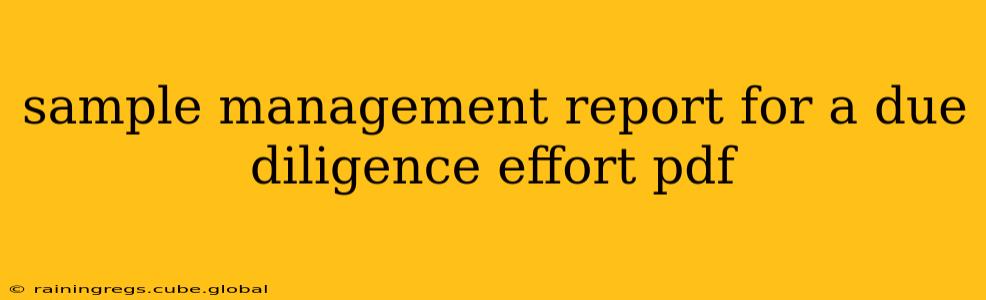 sample management report for a due diligence effort pdf