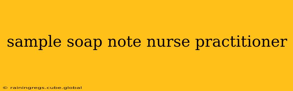 sample soap note nurse practitioner