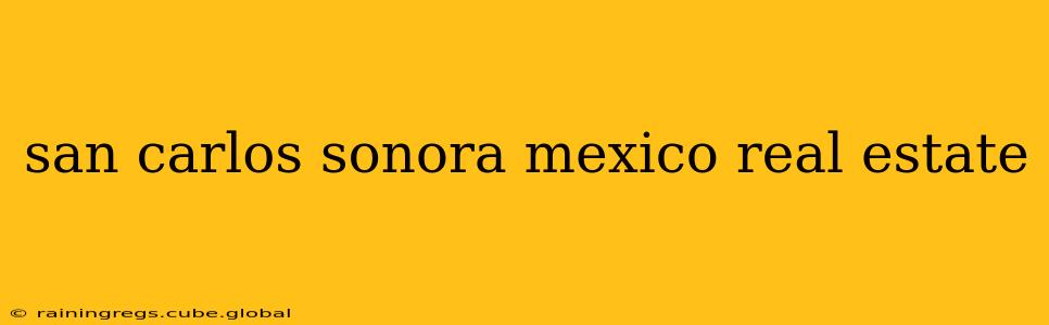 san carlos sonora mexico real estate
