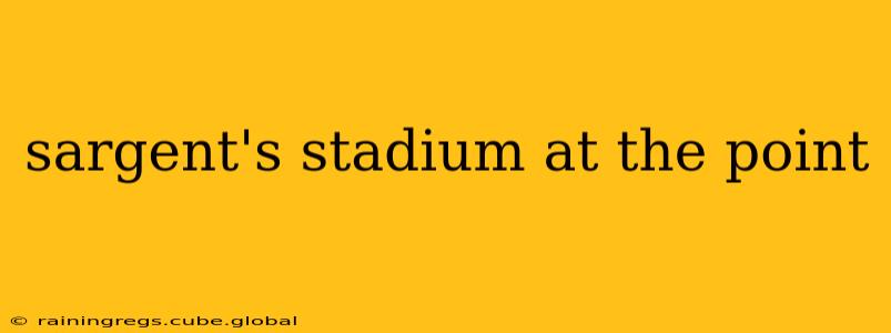 sargent's stadium at the point