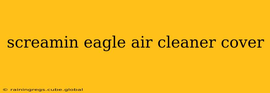 screamin eagle air cleaner cover