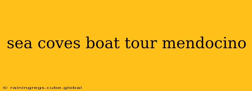 sea coves boat tour mendocino
