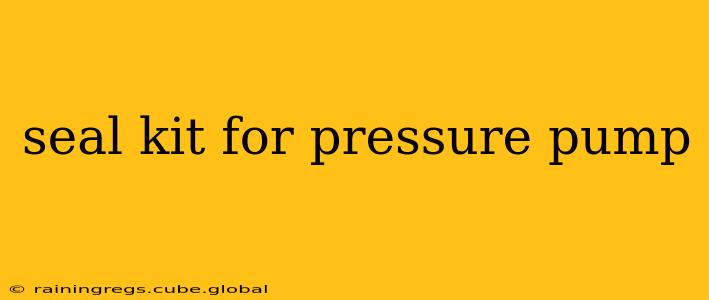seal kit for pressure pump
