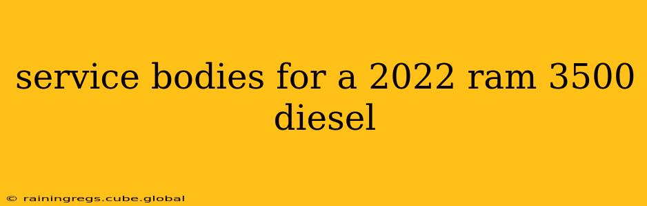 service bodies for a 2022 ram 3500 diesel