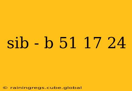 sib - b 51 17 24