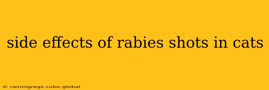 side effects of rabies shots in cats