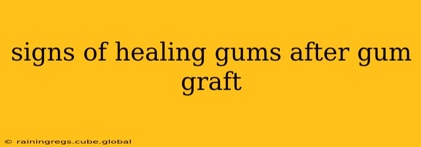 signs of healing gums after gum graft