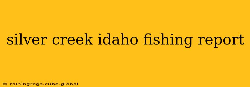 silver creek idaho fishing report