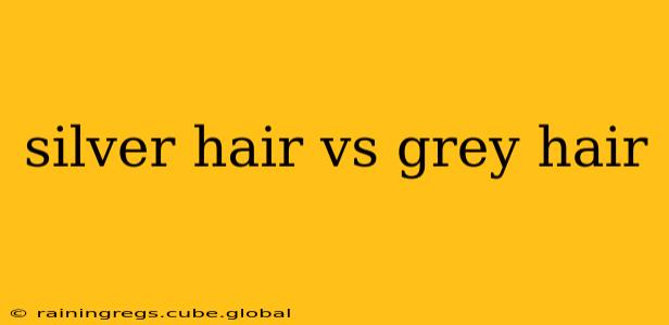silver hair vs grey hair