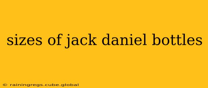 sizes of jack daniel bottles