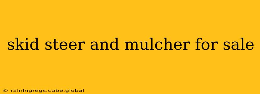 skid steer and mulcher for sale