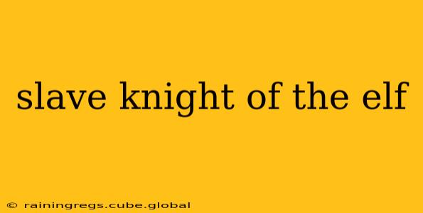 slave knight of the elf