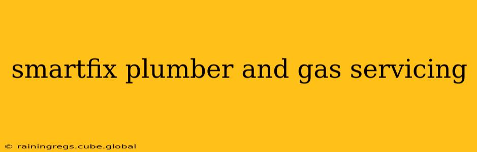 smartfix plumber and gas servicing