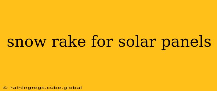 snow rake for solar panels