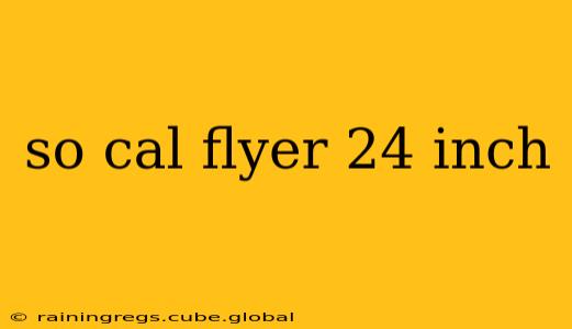 so cal flyer 24 inch