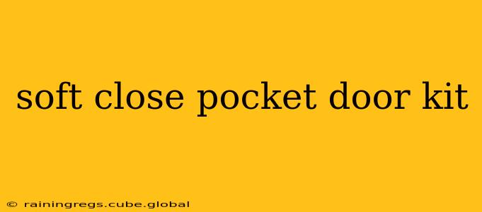 soft close pocket door kit