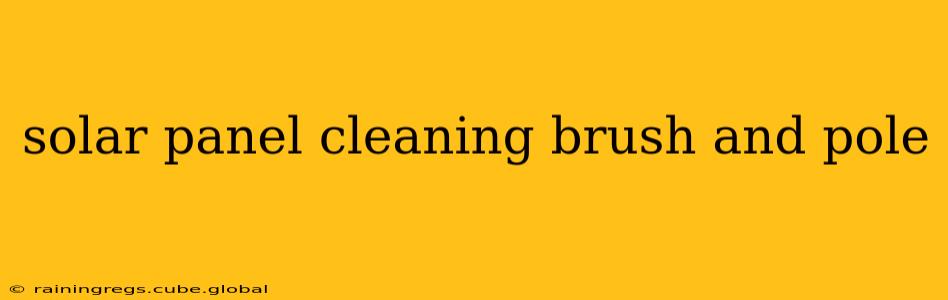 solar panel cleaning brush and pole