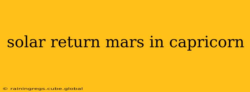 solar return mars in capricorn
