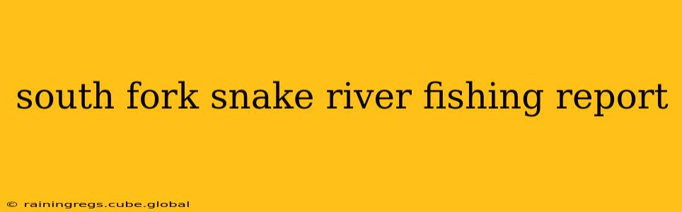 south fork snake river fishing report