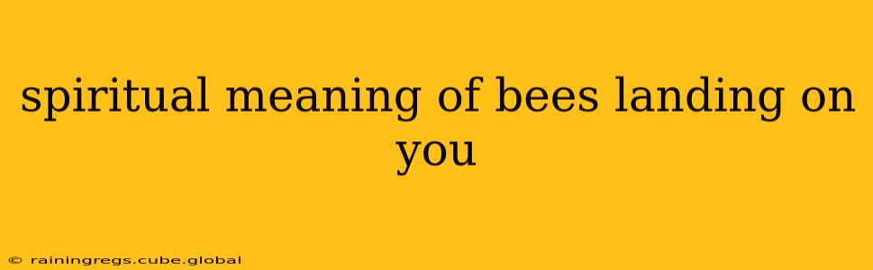 spiritual meaning of bees landing on you