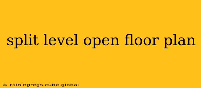 split level open floor plan