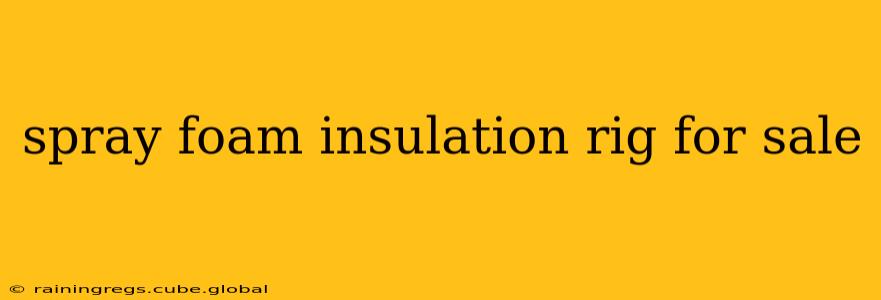 spray foam insulation rig for sale